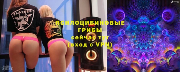 альфа пвп Заводоуковск