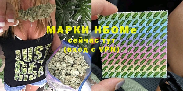 стаф Пестово