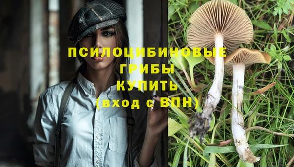 прущая мука Абинск