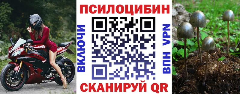 где найти   Инта  omg как войти  Галлюциногенные грибы GOLDEN TEACHER 